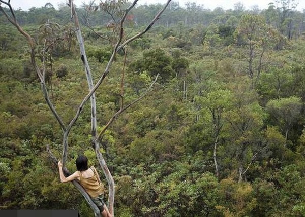 爬到树上后，邓恩就能清楚知道附近环境。