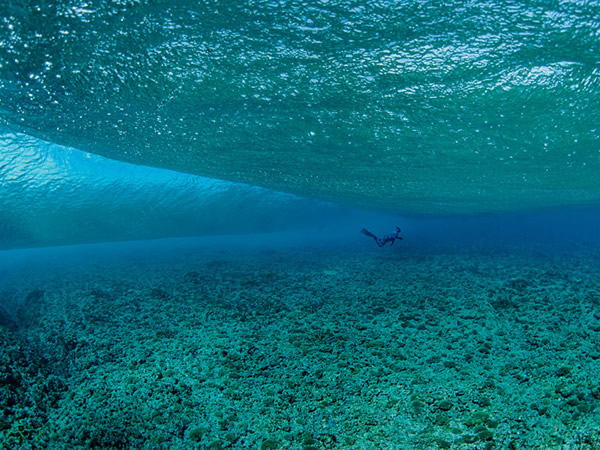 欧罗帕岛很少有潜水者勇于探索欧罗帕岛四周的珊瑚礁，因为这里位在莫三比克海峡中以巨大涡流、含有丰富营养的涌升流、蜿蜒的海流以及壮观的大浪而为人所知的一片水域。 P