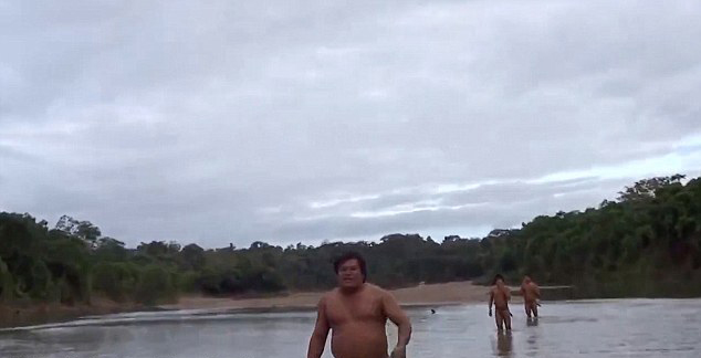 亚马逊土著人因毒贩猖獗和非法采伐被迫离开自己的部落