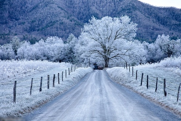 田纳西州的大烟山国家公园，雪景美得让人屏息。