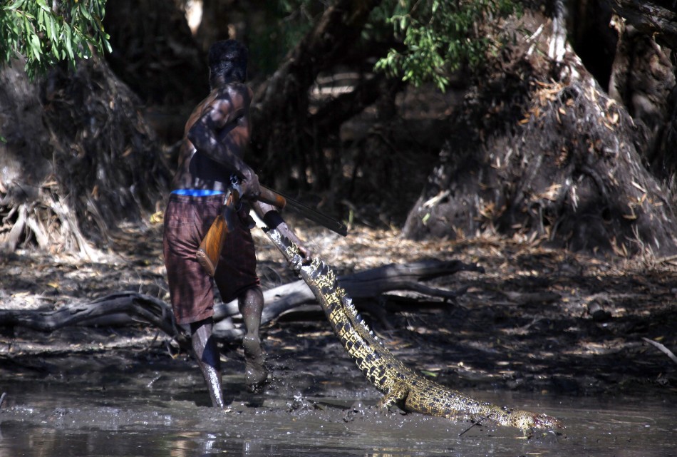 澳大利亚东阿纳姆地原住民保留地，雍古族原住民猎手Roy Gaykamangu拖拽一条刚刚被自己射死的鳄鱼。 澳大利亚的原住民是地球上最长文化传统的保管者，是在4