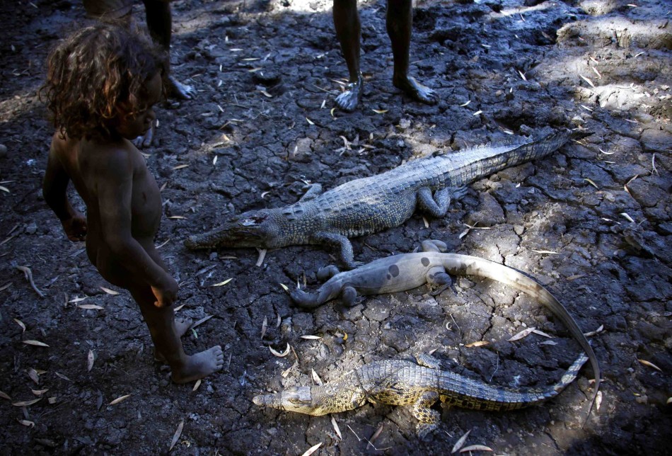 澳大利亚东阿纳姆地原住民保留地，雍古族原住民猎手Roy Gaykamangu三岁的孙子Johnny看着刚刚猎杀的鳄鱼和澳大利亚特有的蜥蜴。