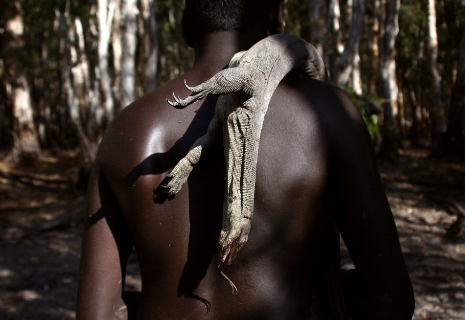 澳大利亚东阿纳姆地原住民保留地，雍古族原住民猎手Marcus Gaykamangu扛着刚刚猎杀的蜥蜴。