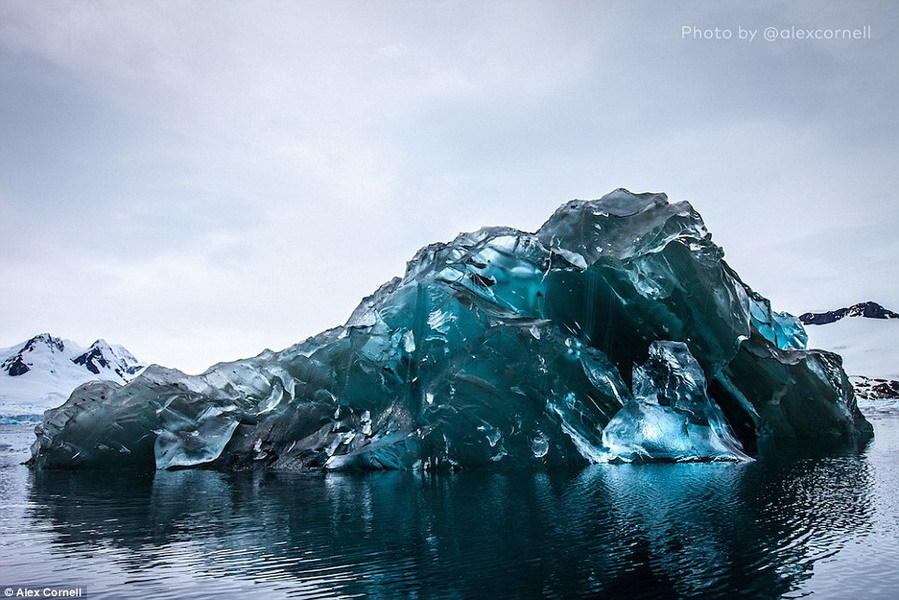 不同于周围的冰山，这座冰山没有积雪和其它物质，呈现出圆滑的蓝色表面。