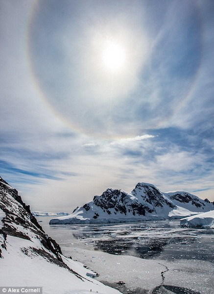 康奈尔使用佳能5D Mark II完成拍摄，向人们展现出美丽的冰山和周围环境。