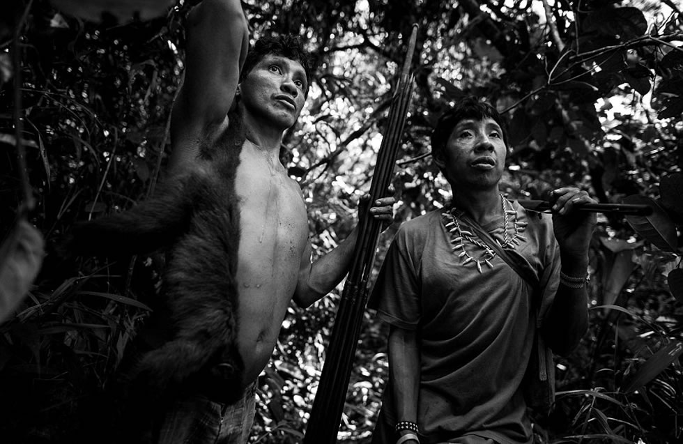 Awa-Guaja部落成员Jakare 和Majhuxa 打到一只猴子以后归来。