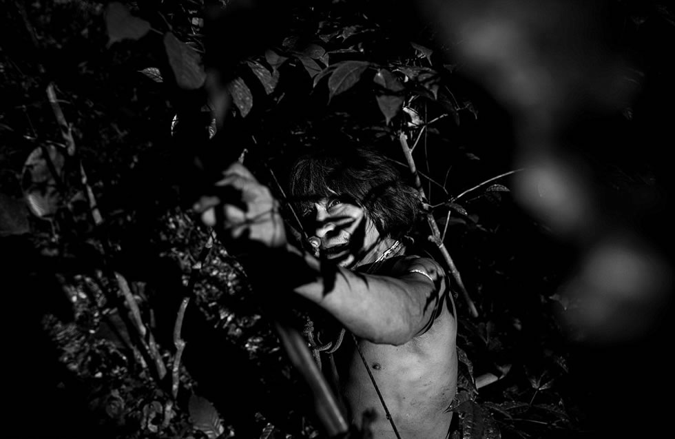 Awa-Guaja部落成员Muturuhum使用弓箭在亚马逊热带雨林中打猎。