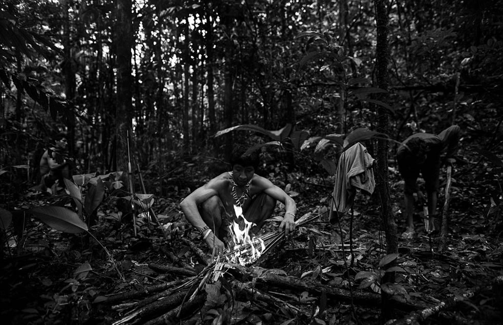 Awa-Guaja部落成员正在生火煮食物