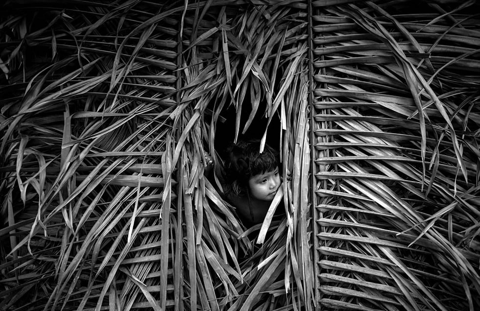 Awa-Guaja部落的一名小孩将头从树叶搭成的房子里伸出来