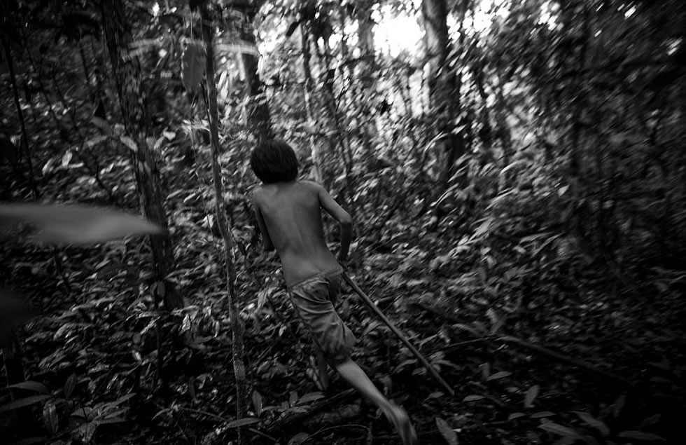 在丛林里看到一个猎物后，Awa-Guaja部落成员Arawata奋力追逐。