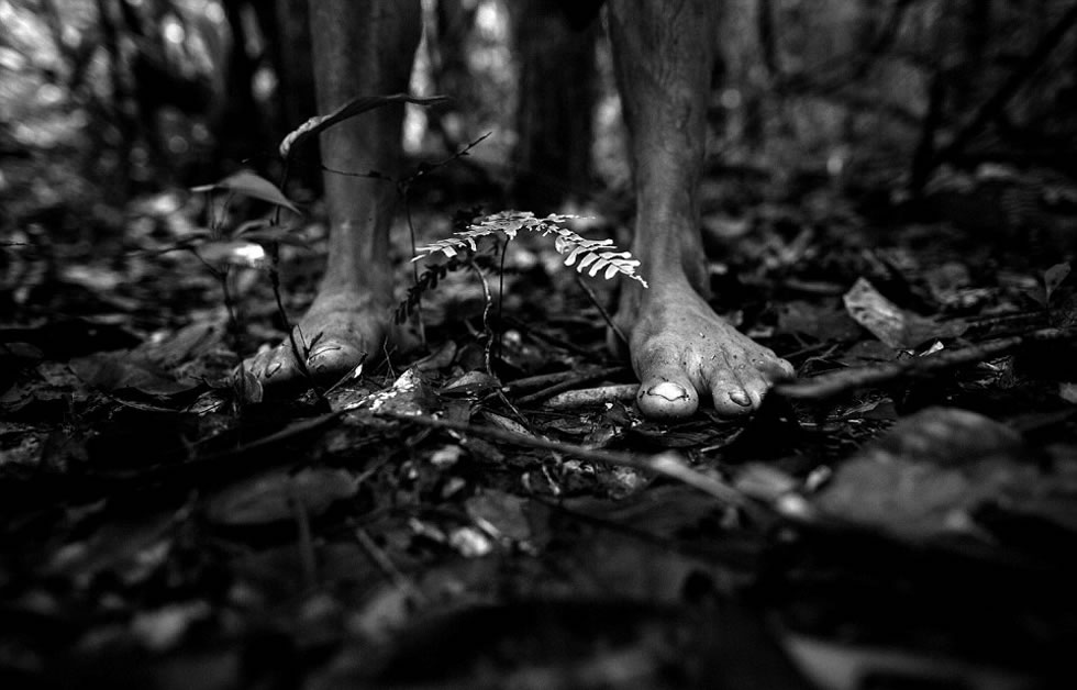 Awa-Guaja部落的人总是光着脚在热带雨林中走上几个小时，只为寻找猎物。