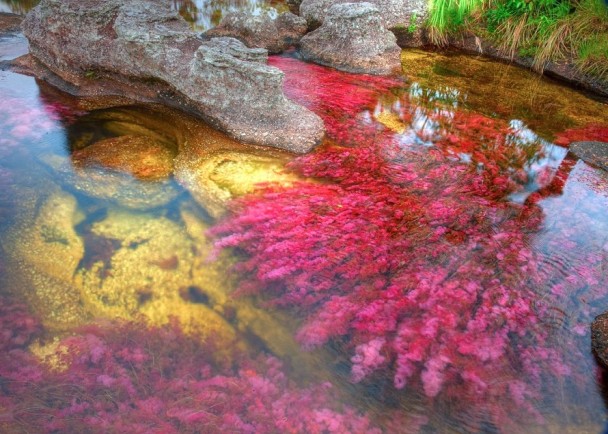 彩虹河去年获CNN评选为“全球15大最色彩斑斓的地貌”之一。