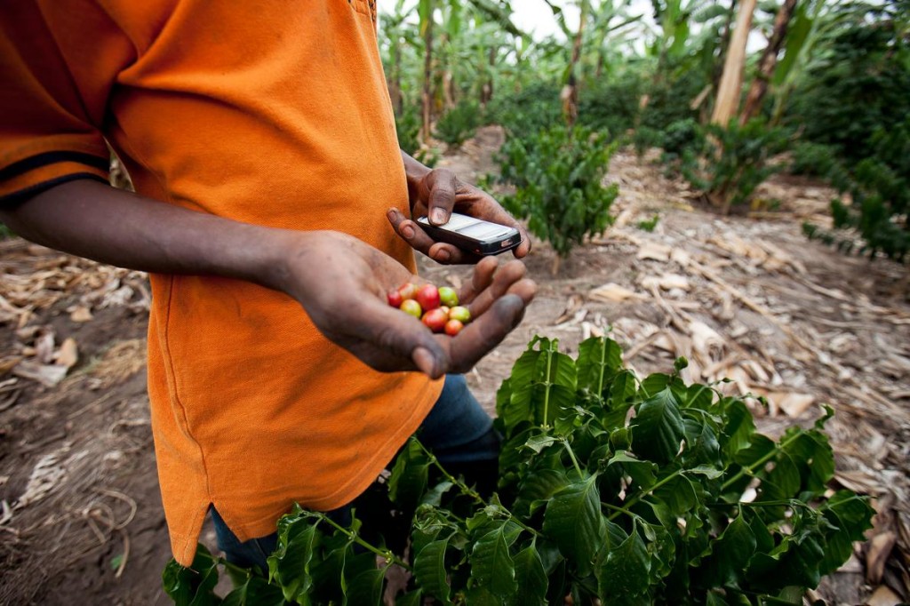乌干达的一个农民，利用手机查询国际咖啡价格。 Photograph by Trevor Snapp, Bloomberg via Getty Images