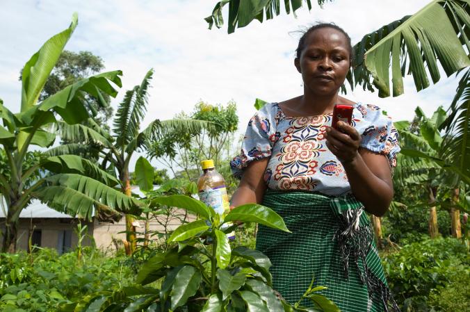 乌干达的一名咖啡农联络当地的农业资讯中心，好在使用杀虫剂之前了解更多资讯。 Photograph by Roel Burgler/ Hollandse Hoog