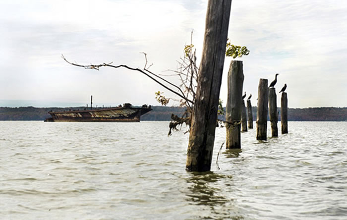 美国马里兰州波托马克河锦葵湾停放着200多艘废弃沉船残骸的“幽灵舰队”