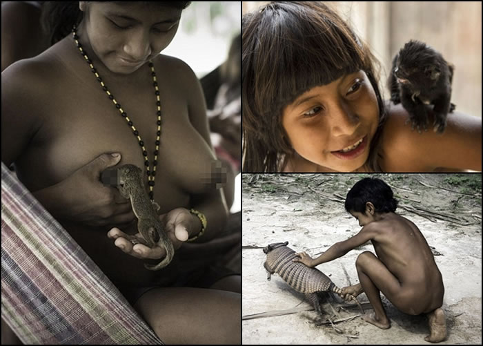 部落女性会为小松鼠喂哺母乳