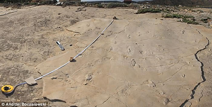 希腊克里特岛上发现疑似570万年人类脚印？人类当时却还在非洲
