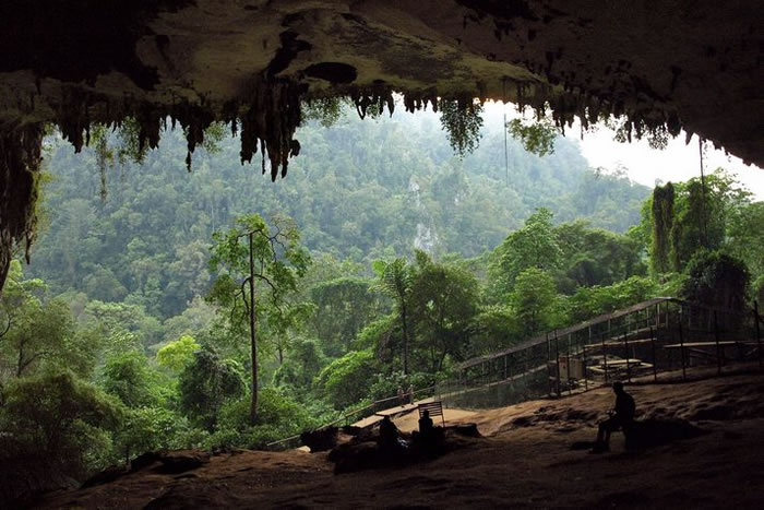 东南亚岛屿热带雨林的觅食（狩猎采集）和耕作：5万年前婆罗洲岛尼亚洞穴的史前史
