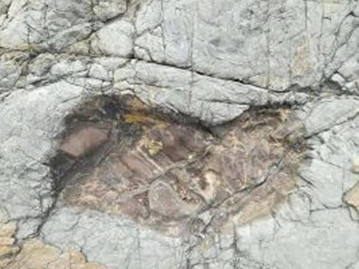 史前巨人真的存在？南美洲玻利维亚山谷岩石上发现巨大脚印