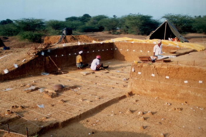 印度38.5万年前旧石器引发科学家重新考虑对早期人类走出非洲的传统理解
