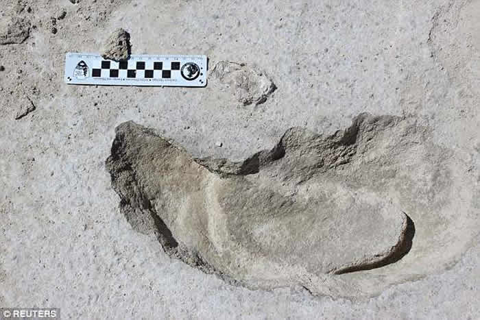 美国新墨西哥州白沙国家保护区发现大地懒化石足迹