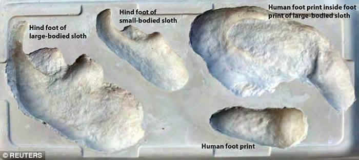 化石足印显示，人类曾追踪大地懒作猎杀。