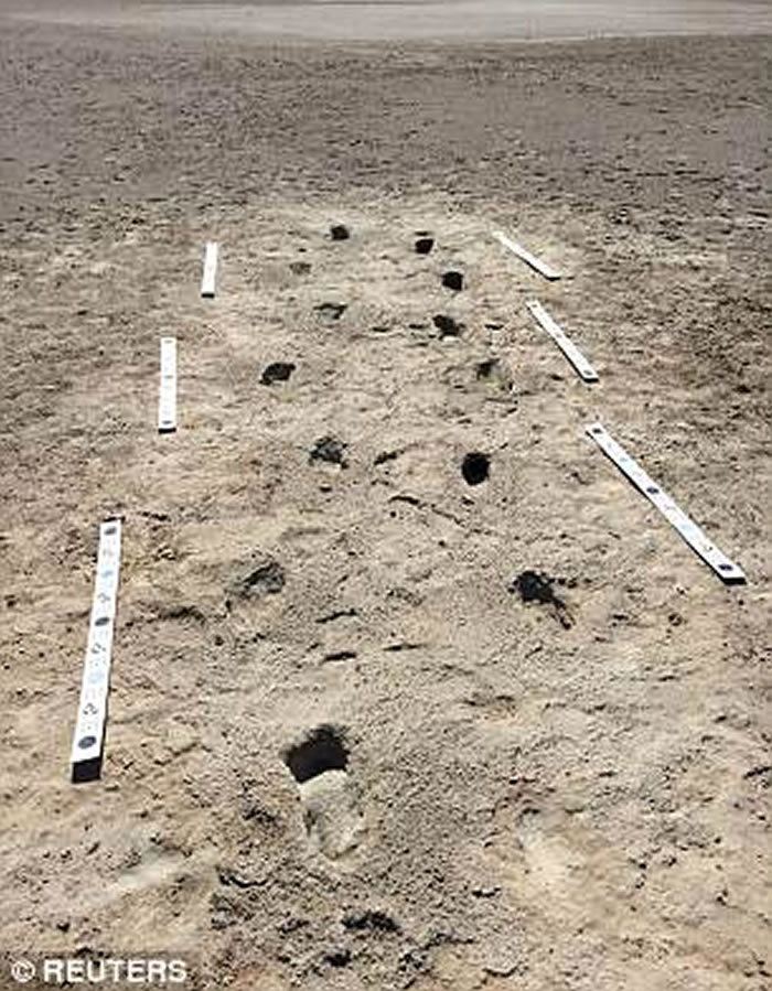 除了追踪树懒的人类踪迹之外，还有更多的人类踪迹。如图所示，在新墨西哥州白沙国家纪念碑可以看到两处远古人类的足迹化石。