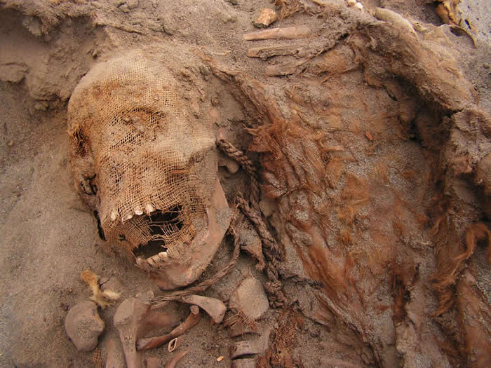 秘鲁考古学家找到全世界有史以来最大的儿童献祭证据