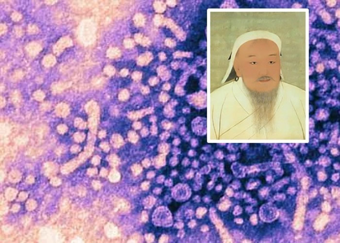丹麦新研究发现，成吉思汗时代大批蒙古人可能是乙型肝炎病毒的带菌者。