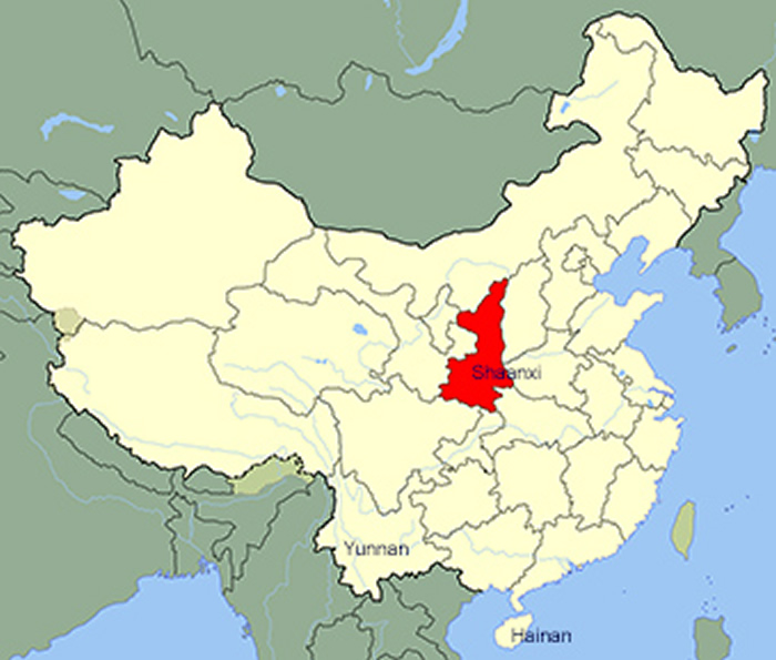 陕西省距离今天长臂猿生活的云南省和海南省有1000多公里