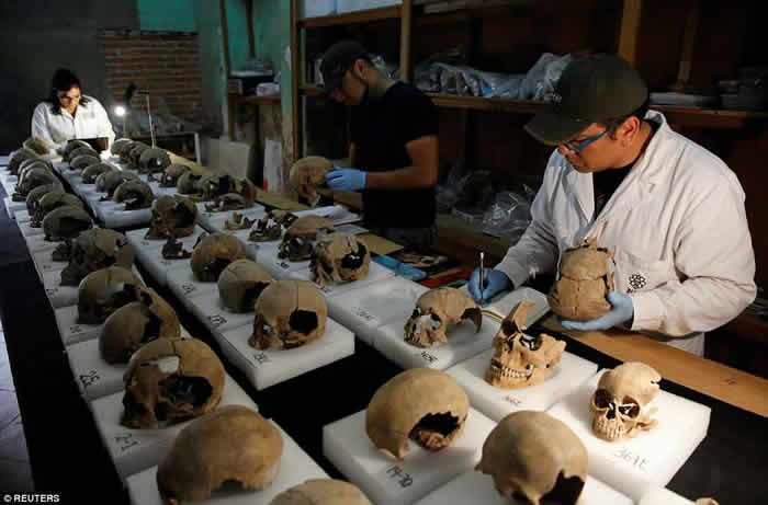 墨西哥阿兹特克神庙挖出650颗头骨塔 排列整齐皮肉全削平