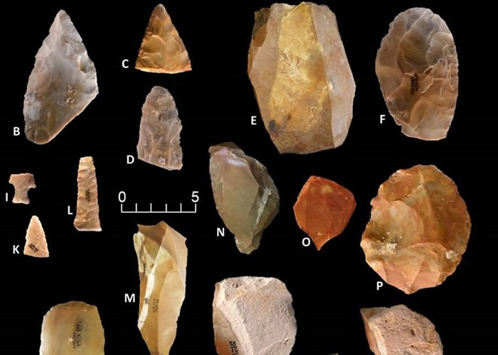 团队在高尔特遗址出土的石器，证明人类踏足北美洲比现时所知要早。