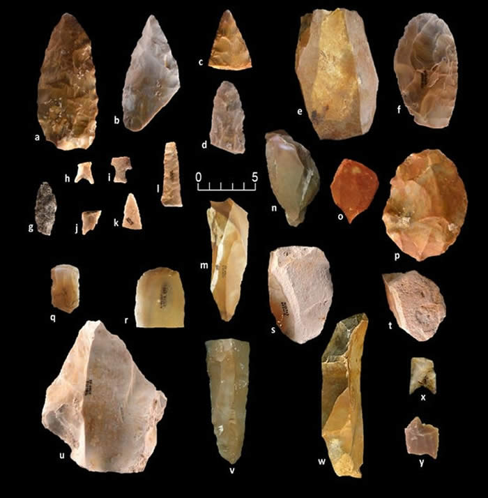 美国德克萨斯州发现的石器工具表明大约2万年前就有古人类在北美定居