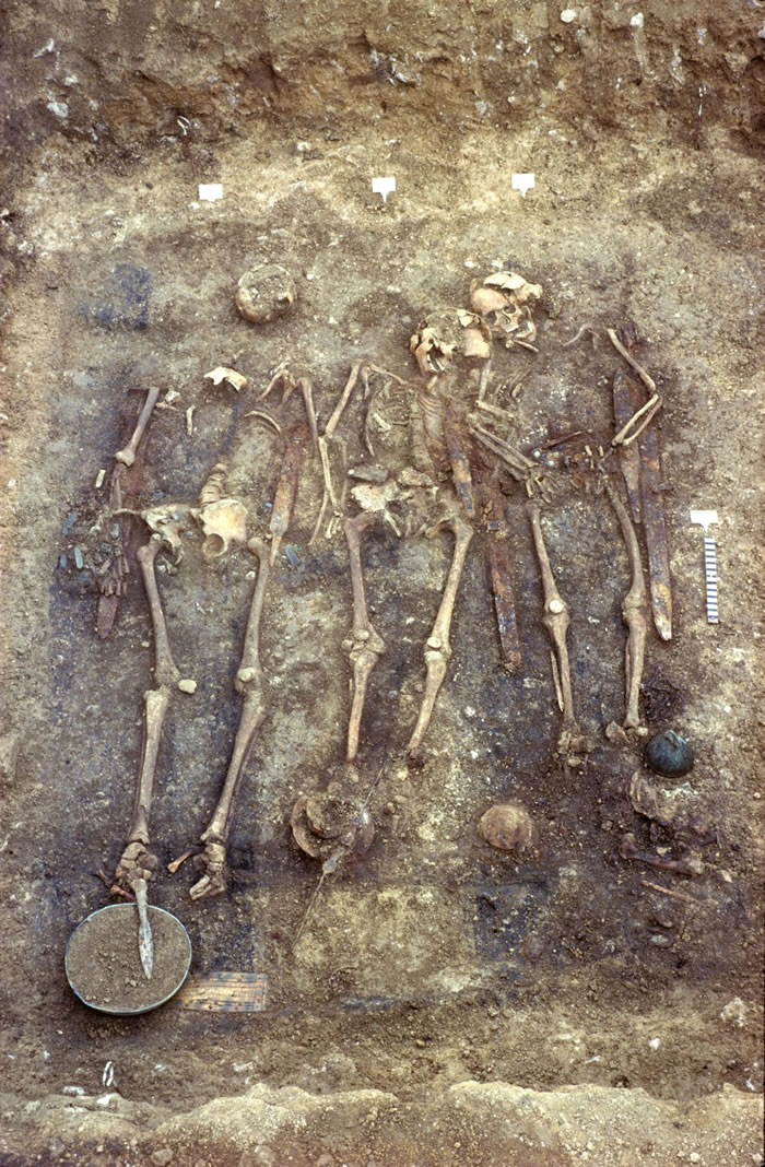 在该墓地中挖掘出的人类遗骸