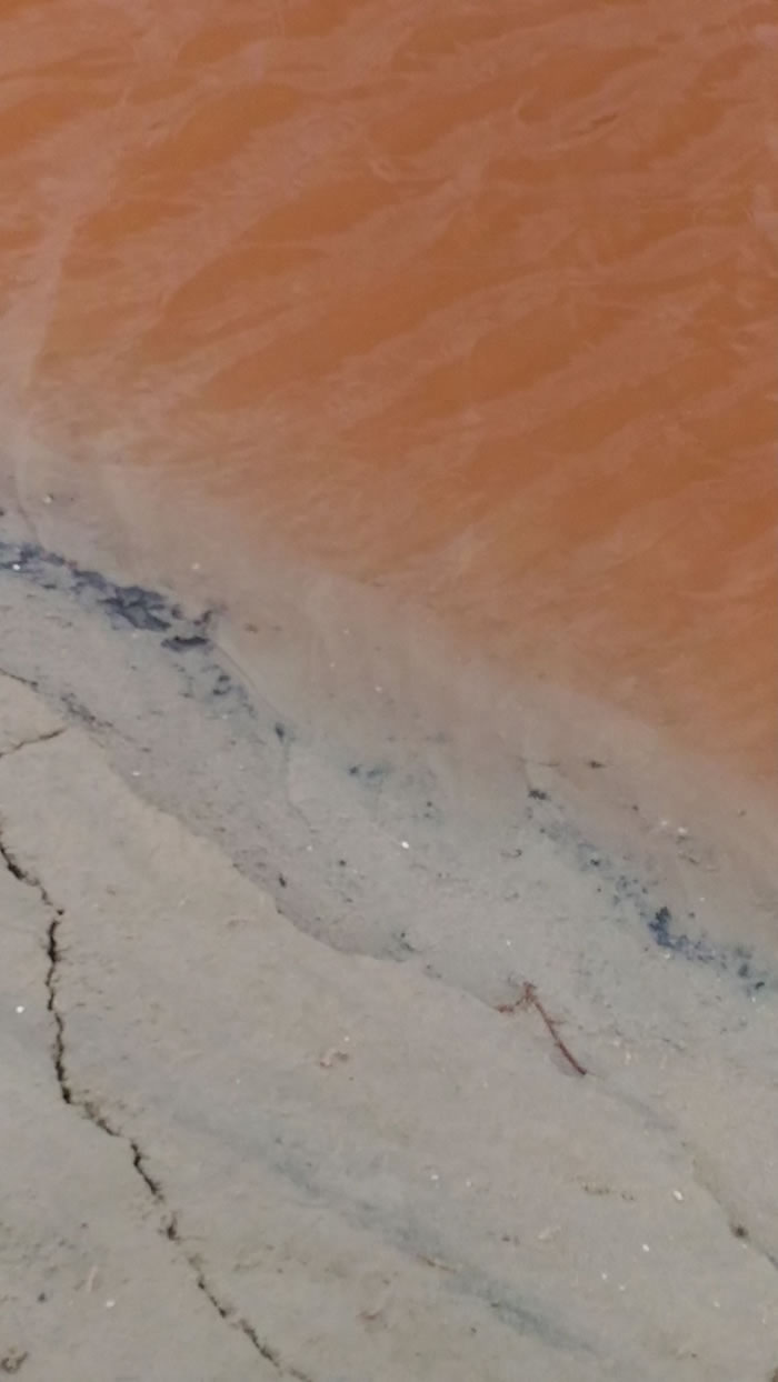 西班牙“蒂列斯”盐湖发现能在火星上生存的藻类——盐生杜氏藻和忠清南道盐单胞菌