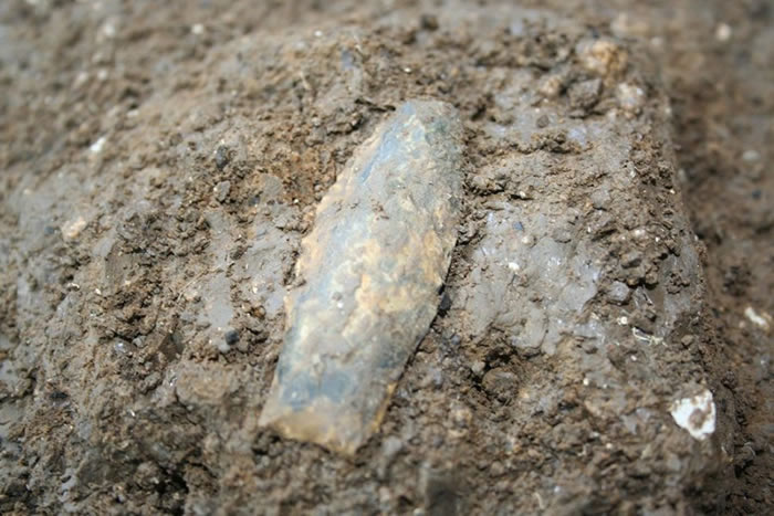 美国德克萨斯州发现的新款尖状投掷物或提示存在两个不同的进入北美的古人类群