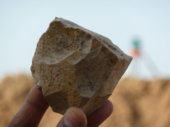 阿尔及利亚峡谷发现的240万年前石器说明古人类踏足北非早于预期