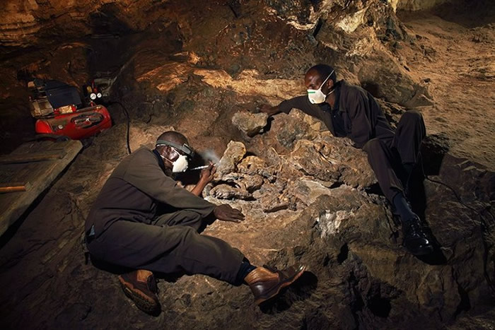 考古学家在斯泰克方丹石窟挖掘出“小脚”。