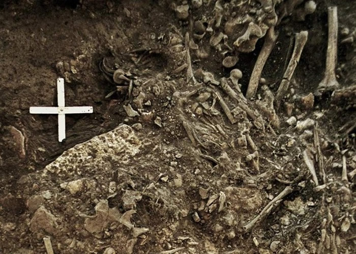 瑞典发现最古老鼠疫样本 解开新石器时代特里波耶文明消亡之谜