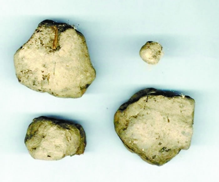 东方广场考古现场发现的炭屑