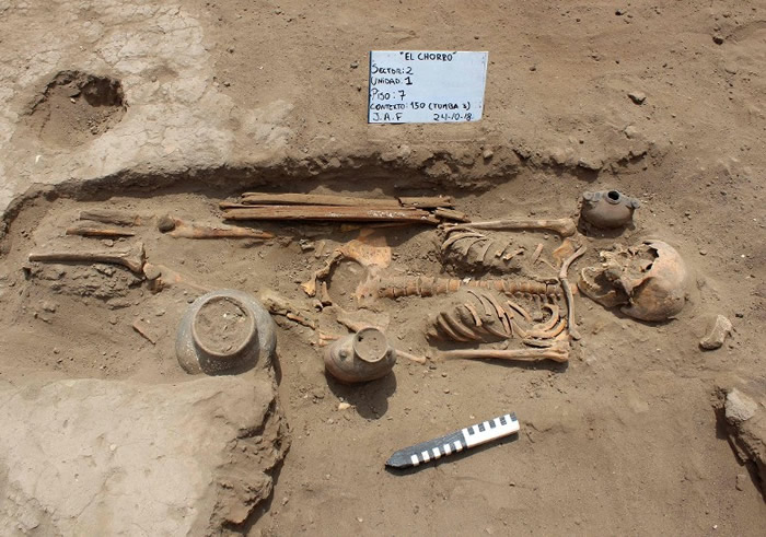 出土的骸骨许多都没有了脚掌骨。