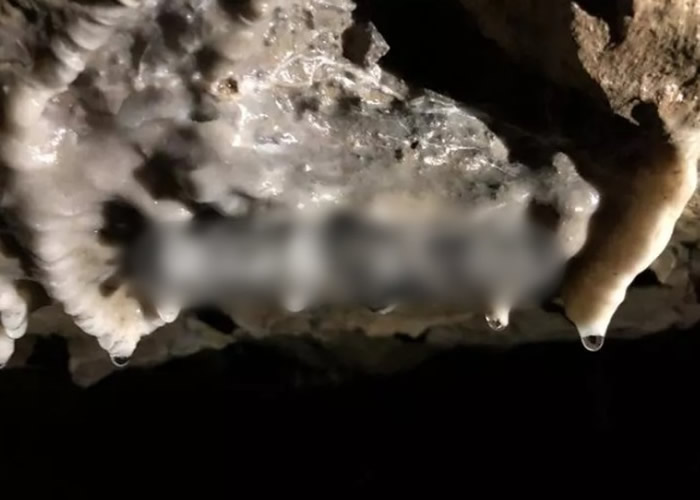 专家凭洞内的钟乳石，估计石窟约在千年前开凿。