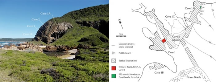 《人类进化杂志》：南非克拉西斯河洞穴发现现代人在12万年前就已食用植物淀粉