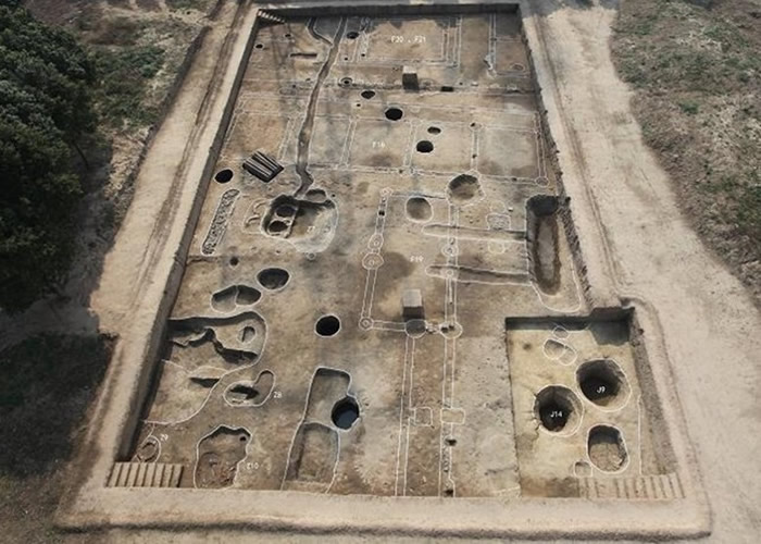 黄泗浦遗址内含不少唐代文物。