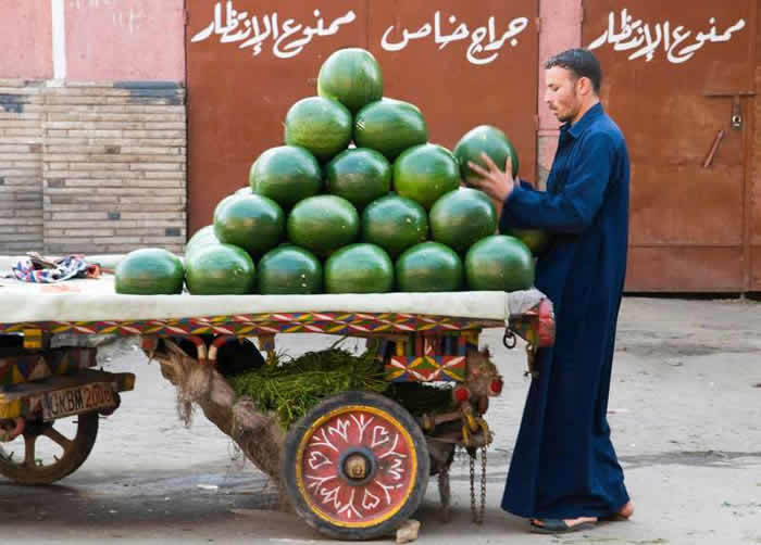 栽培西瓜起源于非洲 3500年前古埃及人就能吃到又红又甜的西瓜