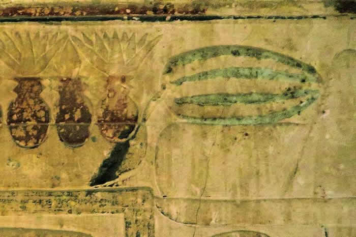 至少三座古埃及陵墓的墙壁上都描绘了西瓜