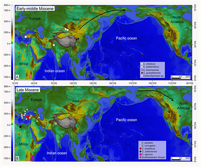 豕脊齿象类在中新世的分布位置以及洲际之间迁移示意图 （A, 早—中中新世；B, 晚中新世）（李春晓 供图）