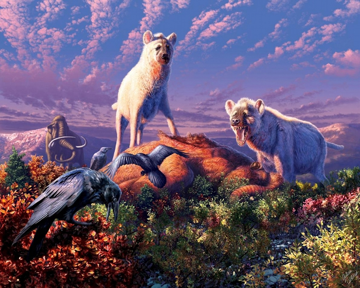 画中是已灭绝的豹鬣狗（ Chasmaporthetes sp.）。 日前北极圈首度发现豹鬣狗的化石，有助于解释这些在欧亚大陆演化的动物在更新世时如何进入北美洲。