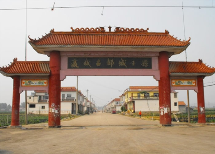 专家确认嬴秦起源地为现今莱芜城子县村。