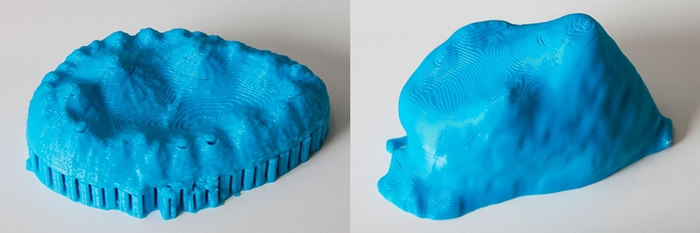 这对3D打印模型展示出两种已灭绝鳄鱼表亲的牙齿复杂形状。 这些形状显示这些久远以前的鳄鱼吃素。 PHOTOGRAPH BY MARK JOHNSTON, NHM